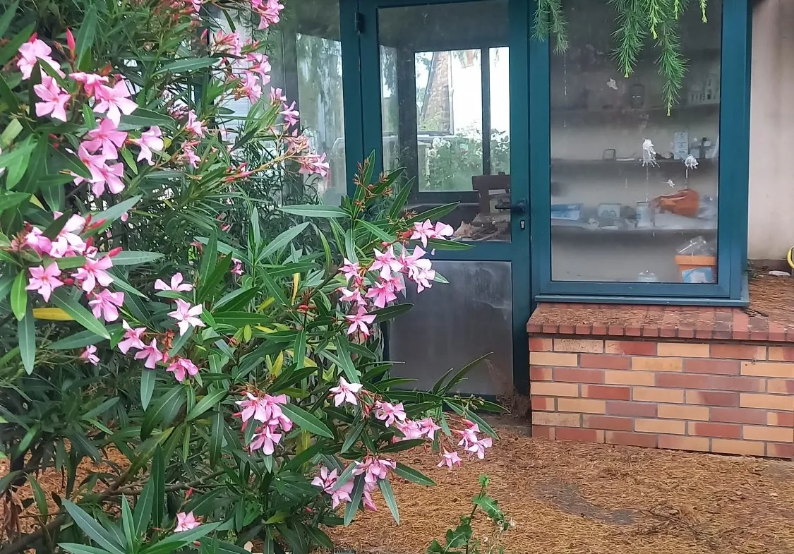Deux maisons en pierre à Renac, potentiel à exploiter 