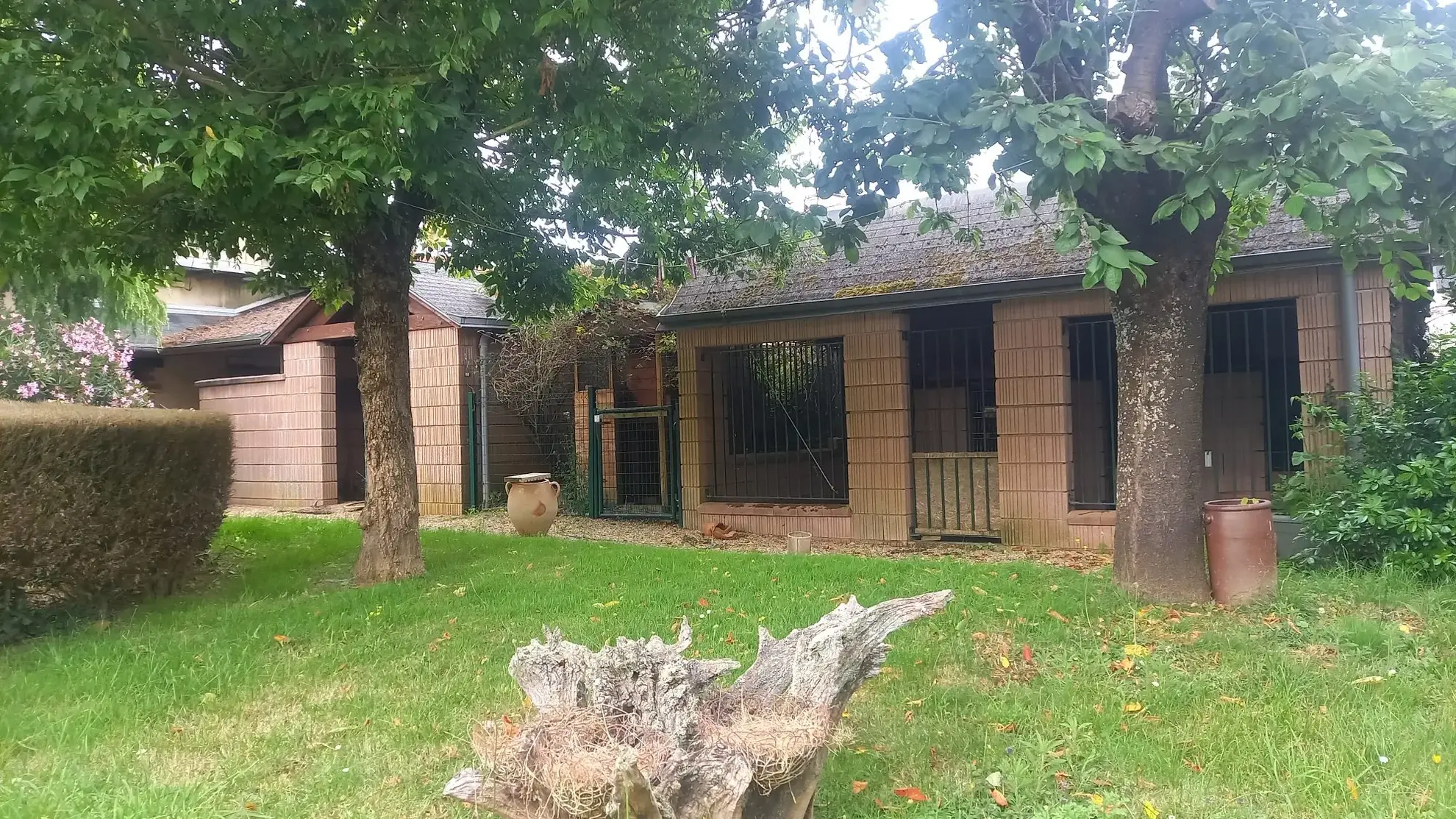 Deux maisons en pierre à Renac, potentiel à exploiter 