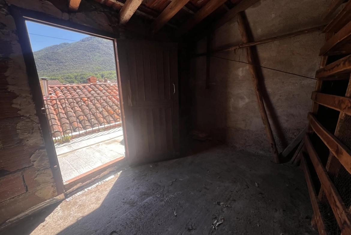 Maison de village à rénover à Arles-sur-Tech avec terrasse et vue 