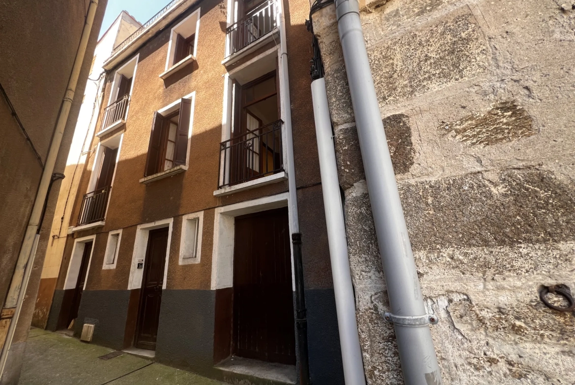 Maison de village à rénover à Arles-sur-Tech avec terrasse et vue 