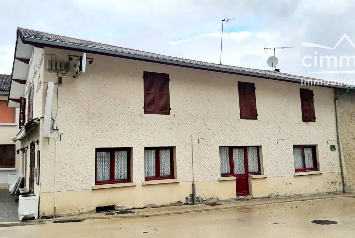 Immeuble à vendre à Notre Dame de L'Osier avec logement et commerce à Vinay 