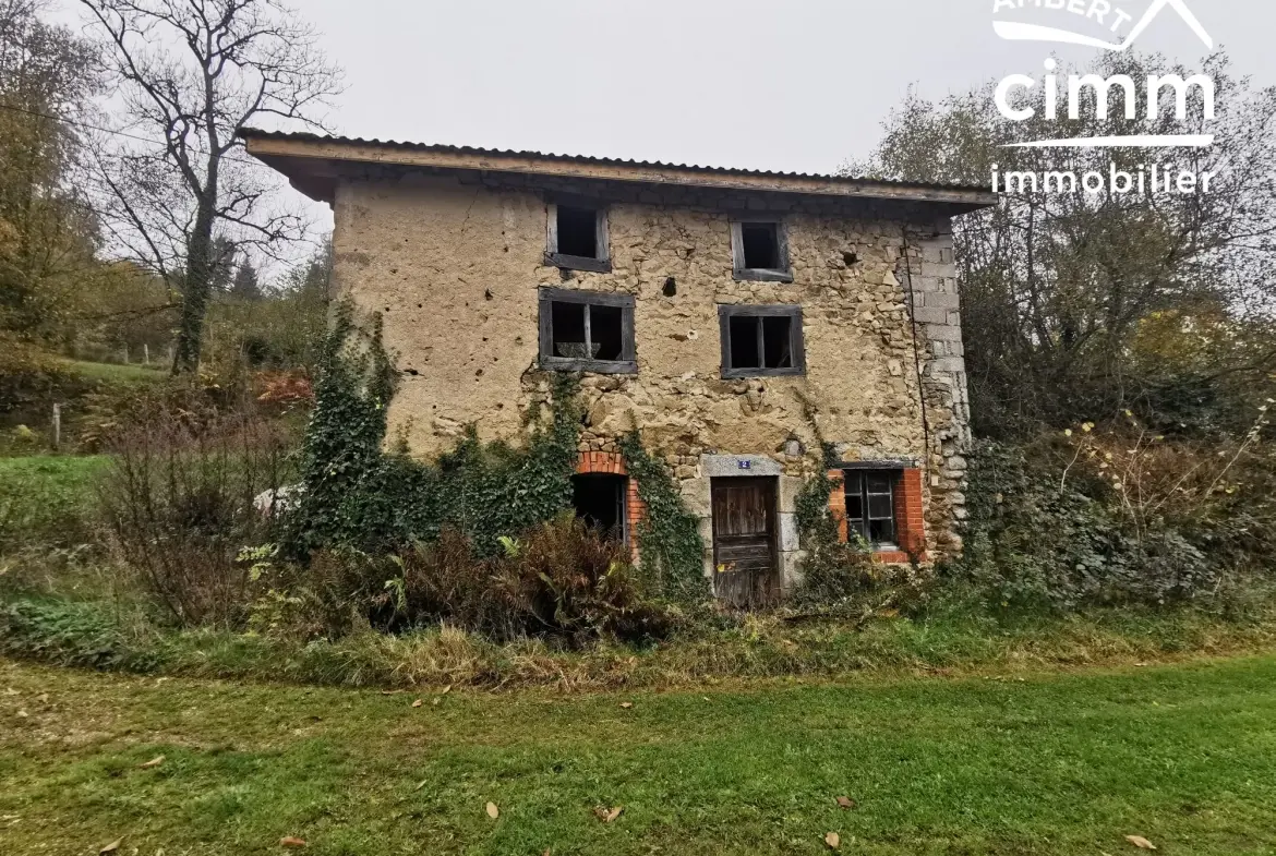 Maison à rénover dans village calme près d'Ambert - Terrain de 295 m² 