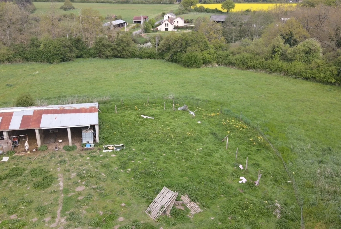 Fermette à rénover avec dépendances et grand terrain à Gien 
