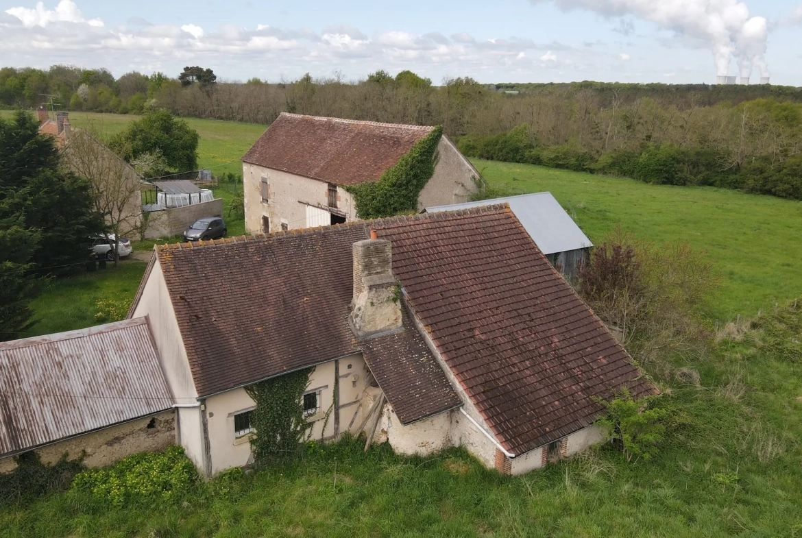 Fermette à rénover avec dépendances et grand terrain à Gien 