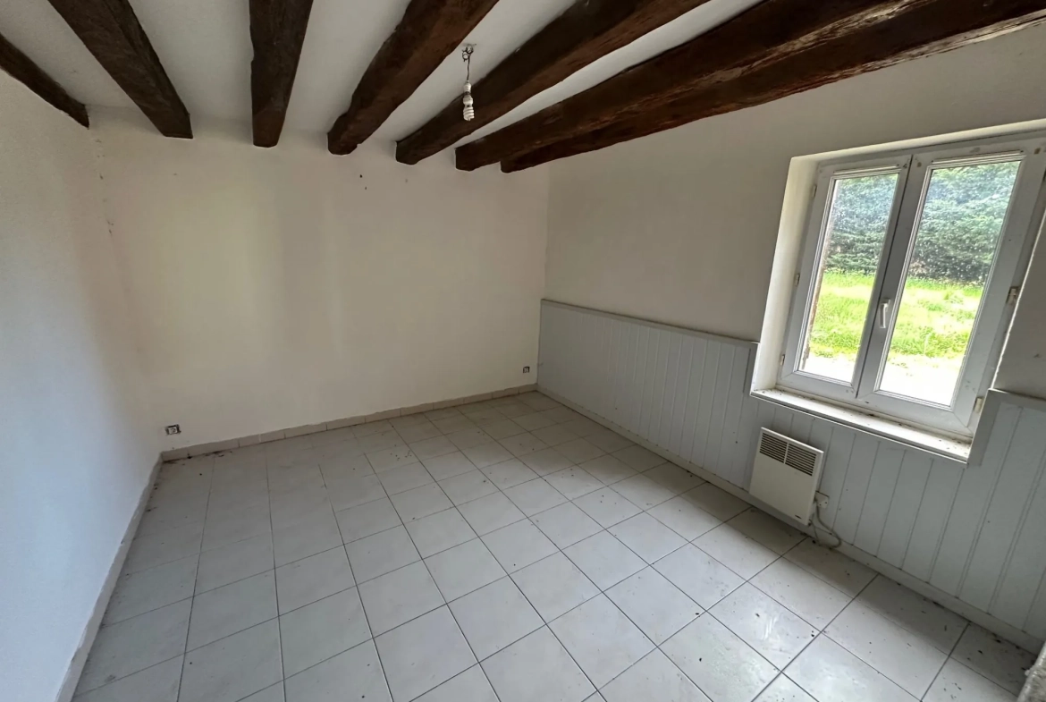 Fermette à rénover avec dépendances et grand terrain à Gien 