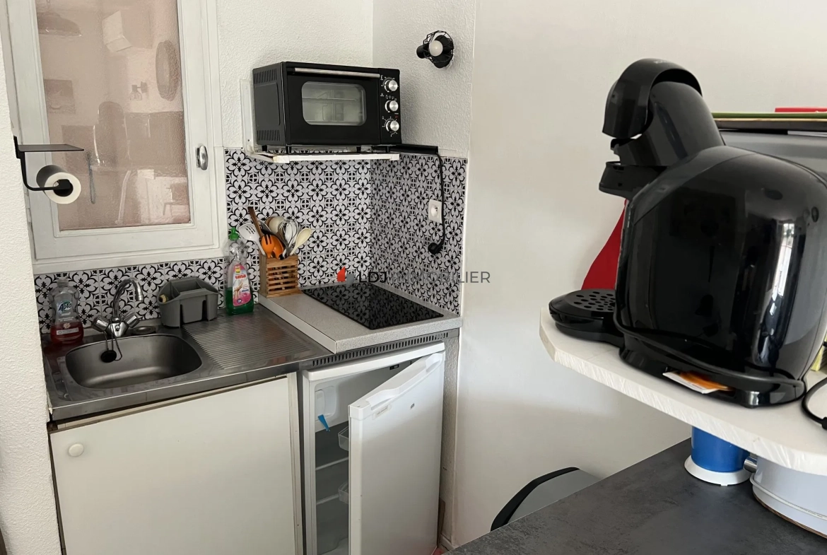 Studio meublé de 25m² avec terrasse et parking à Amélie-les-Bains-Palalda 