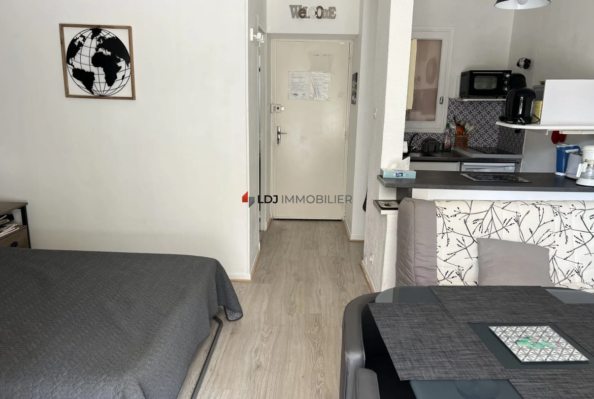Studio meublé de 25m² avec terrasse et parking à Amélie-les-Bains-Palalda 