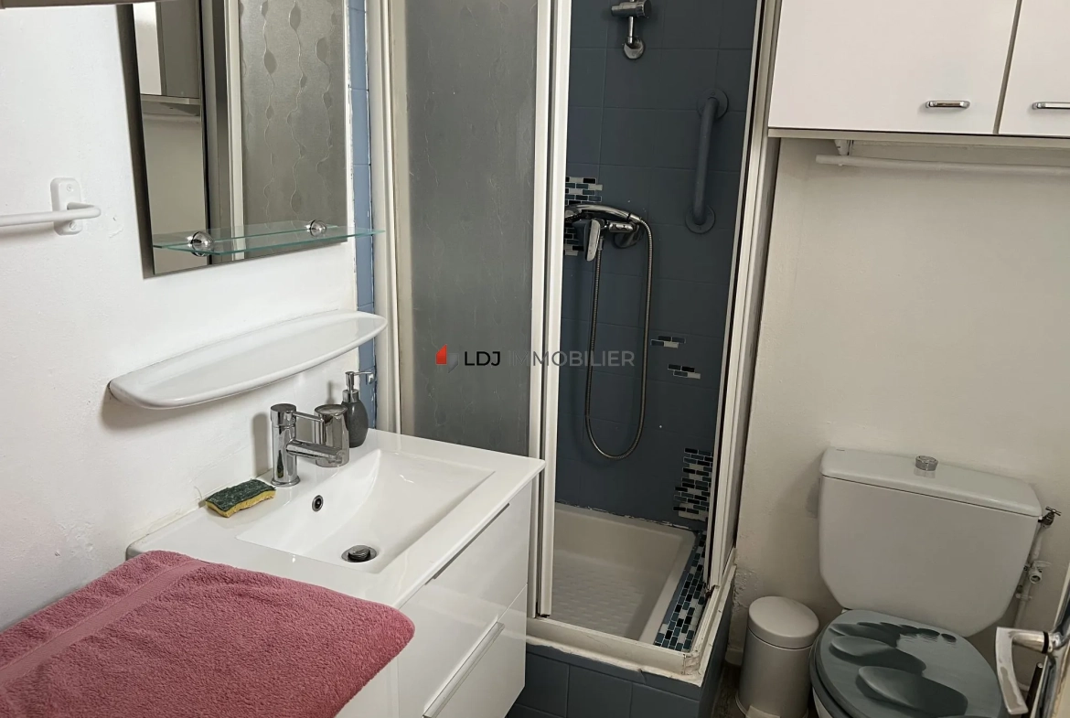 Studio meublé de 25m² avec terrasse et parking à Amélie-les-Bains-Palalda 