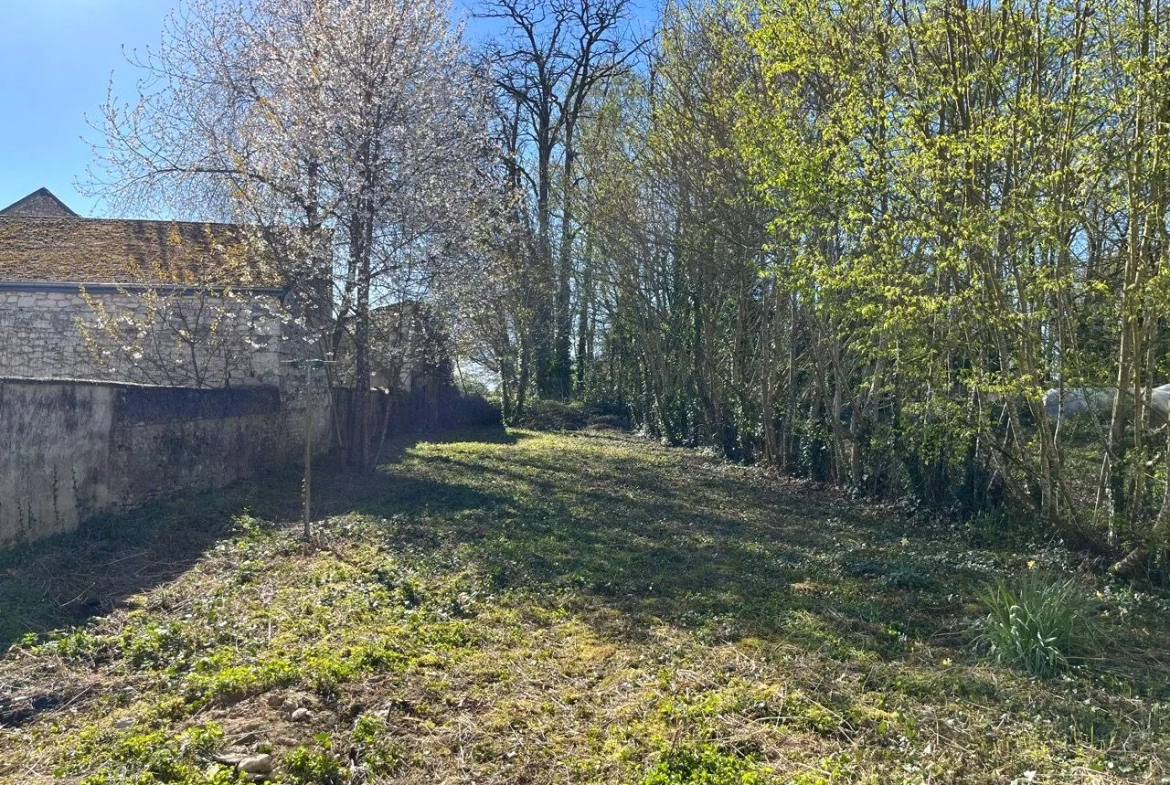 Charmante maison de bourg à rénover avec jardin et garage à Rilly-sur-Vienne 