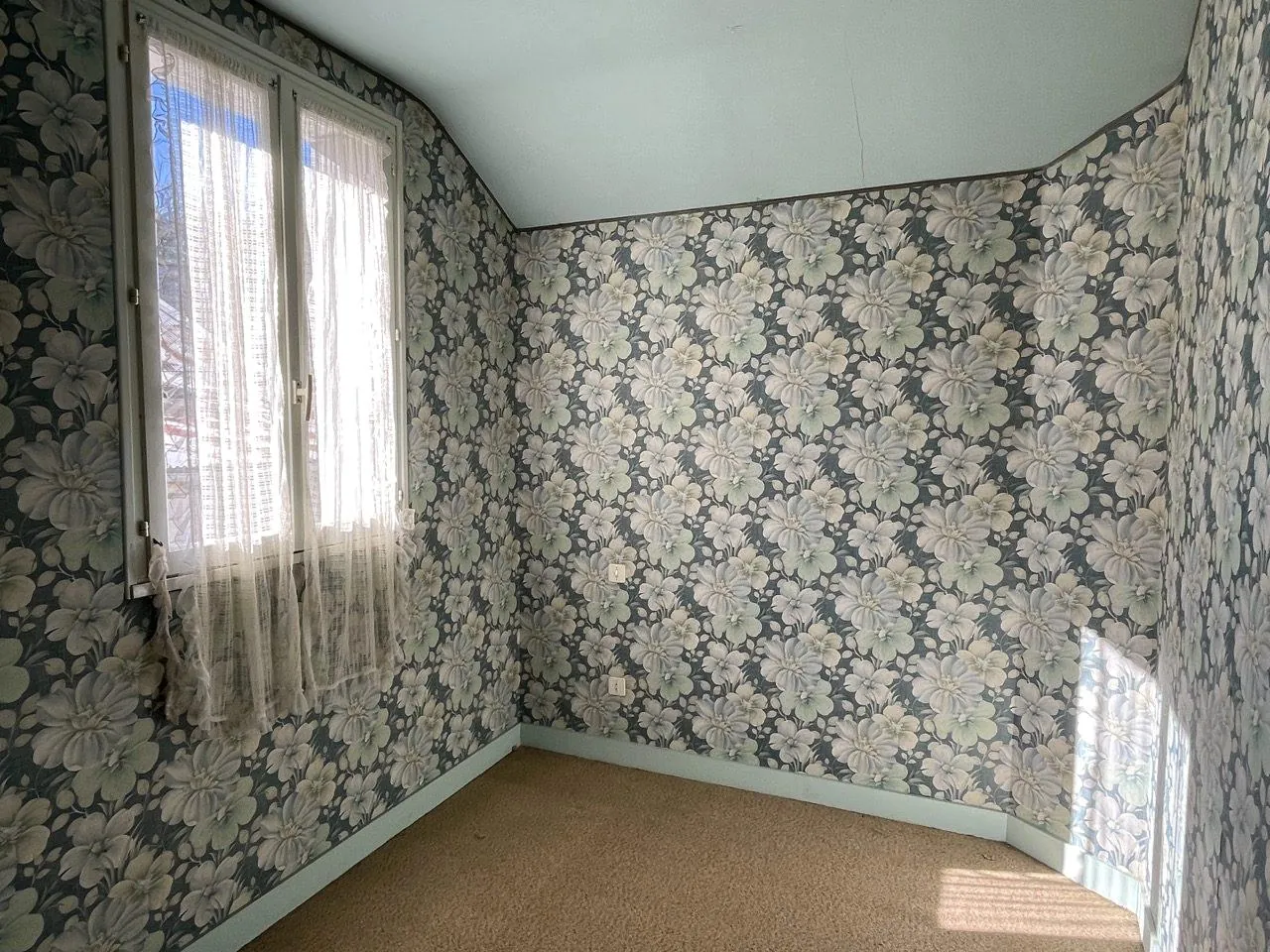 Charmante maison de bourg à rénover avec jardin et garage à Rilly-sur-Vienne 