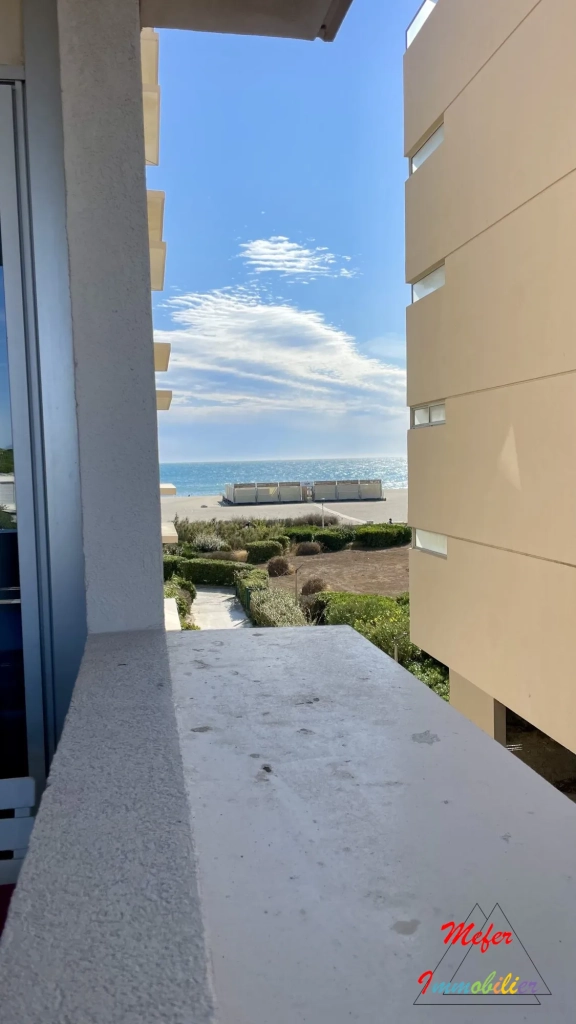 Appartement 2 pièces avec terrasse, piscine et vue sur Canigou à Canet-en-Roussillon