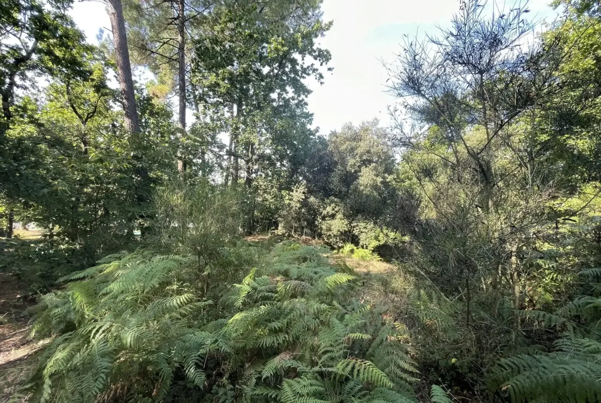 Terrain constructible de 784 m² à proximité des plages au MATHES 