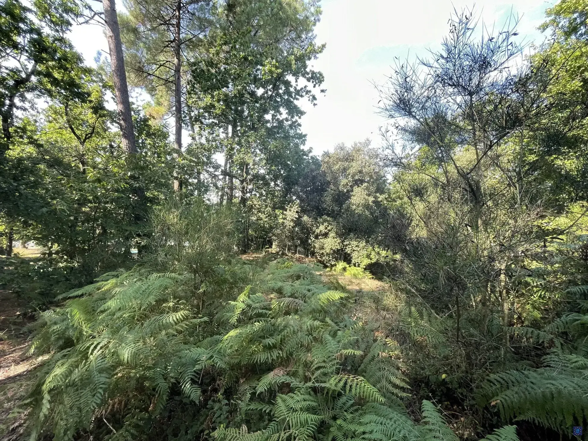 Terrain constructible de 784 m² à proximité des plages au MATHES 