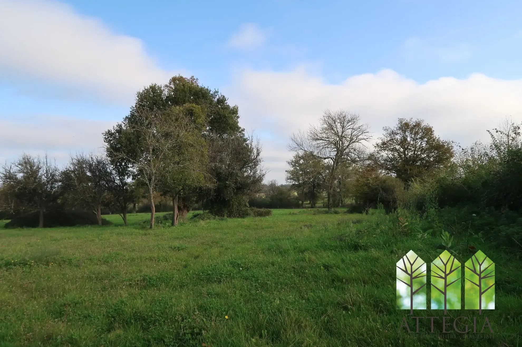 Grande maison à Bonnat avec dépendances et terrain de plus de 9 000 m² 