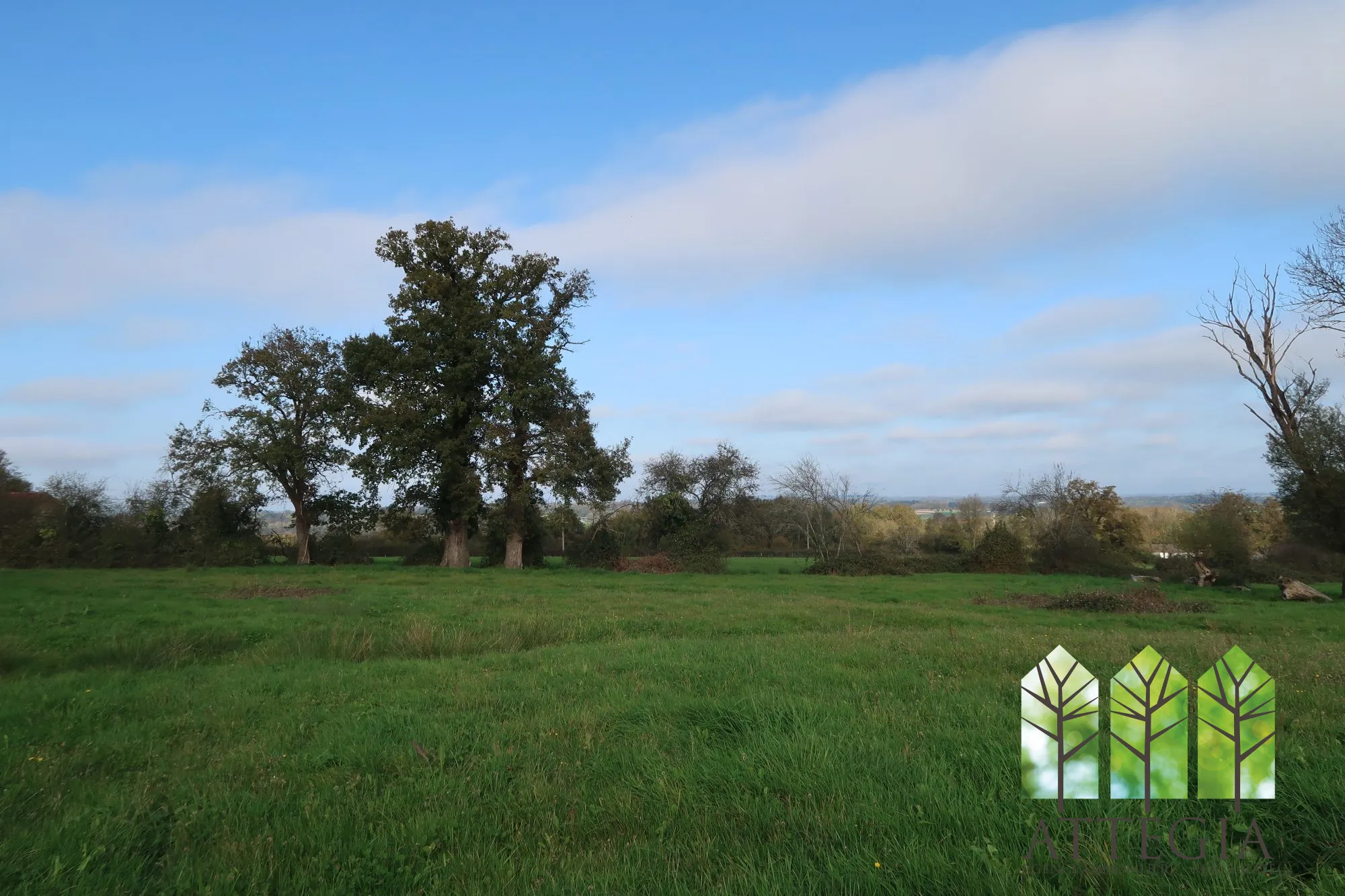 Grande maison à Bonnat avec dépendances et terrain de plus de 9 000 m² 