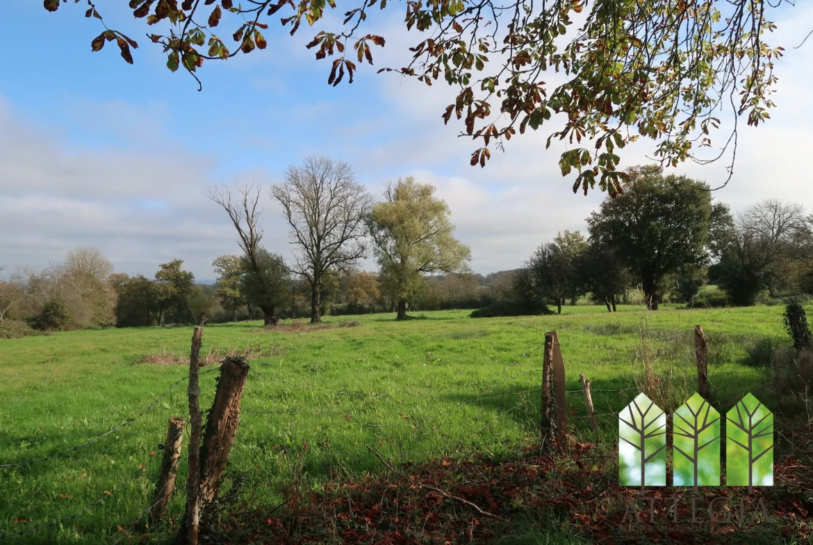 Grande maison à Bonnat avec dépendances et terrain de plus de 9 000 m² 