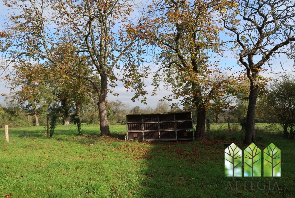 Grande maison à Bonnat avec dépendances et terrain de plus de 9 000 m² 