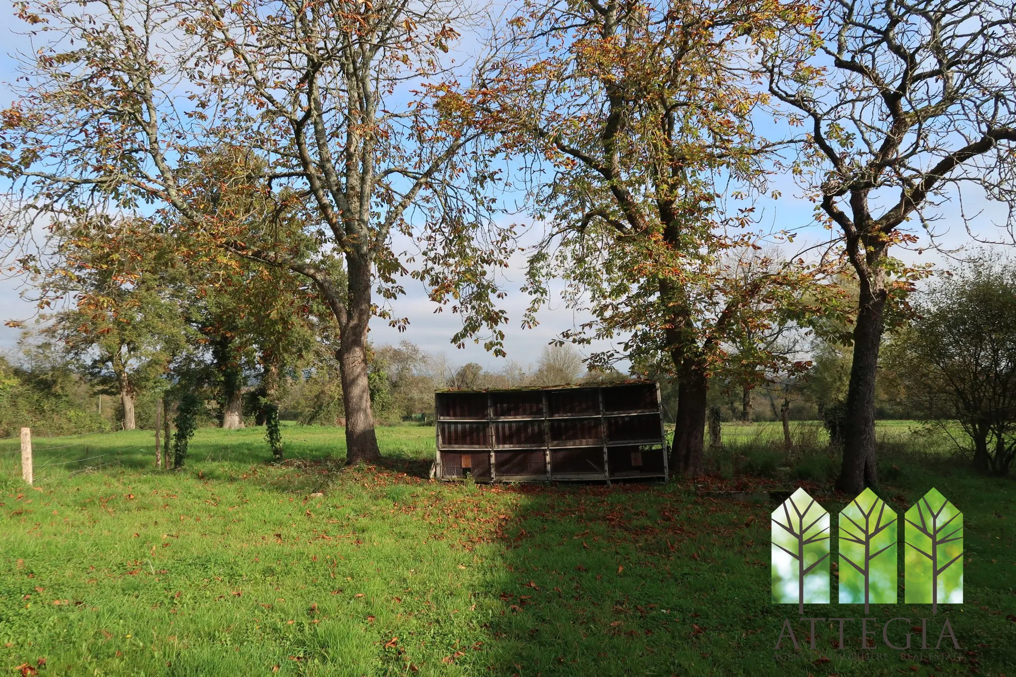 Grande maison à Bonnat avec dépendances et terrain de plus de 9 000 m² 