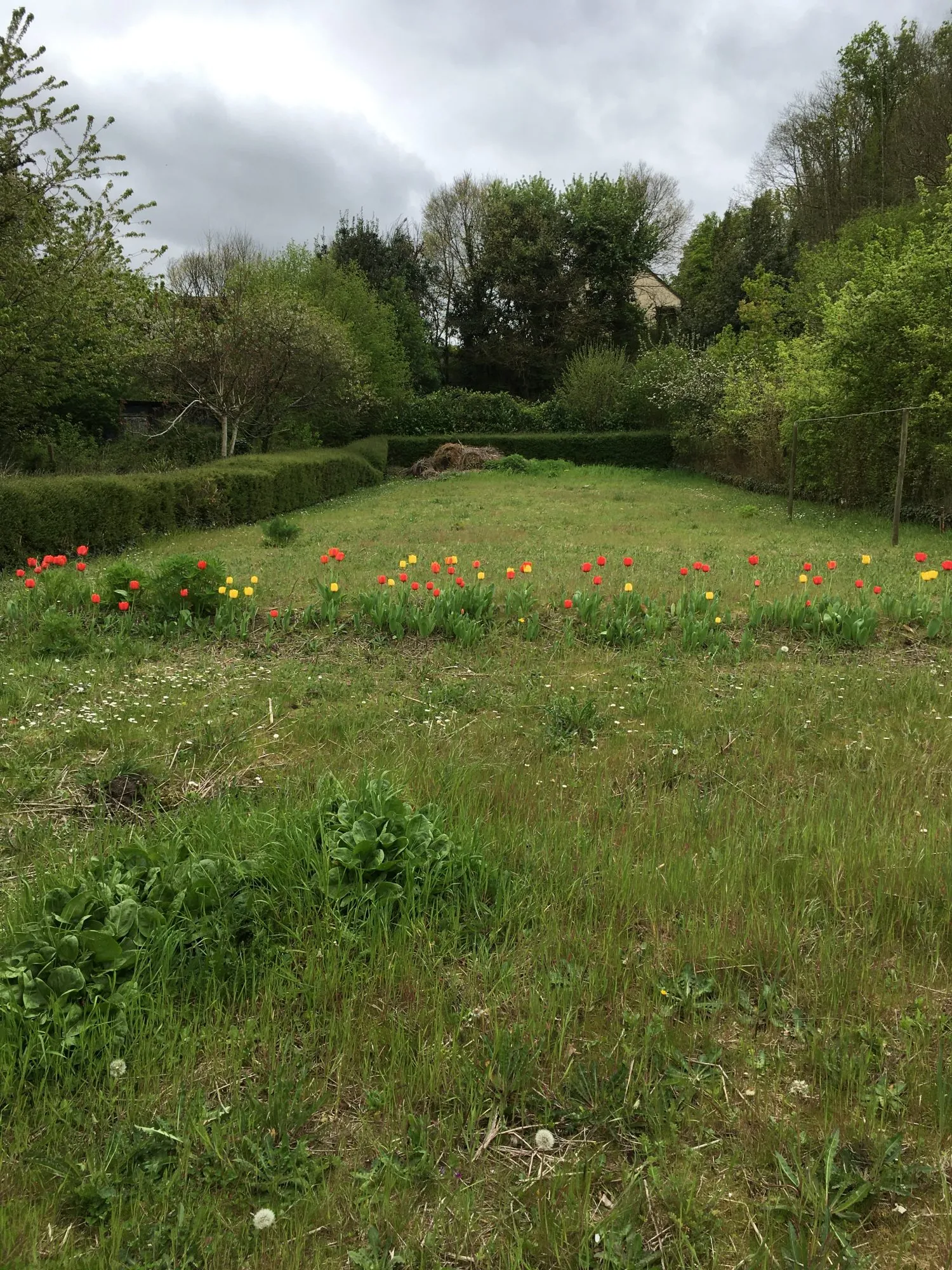 Maison de ville à Sceaux-sur-Huisne avec terrain à rénover 