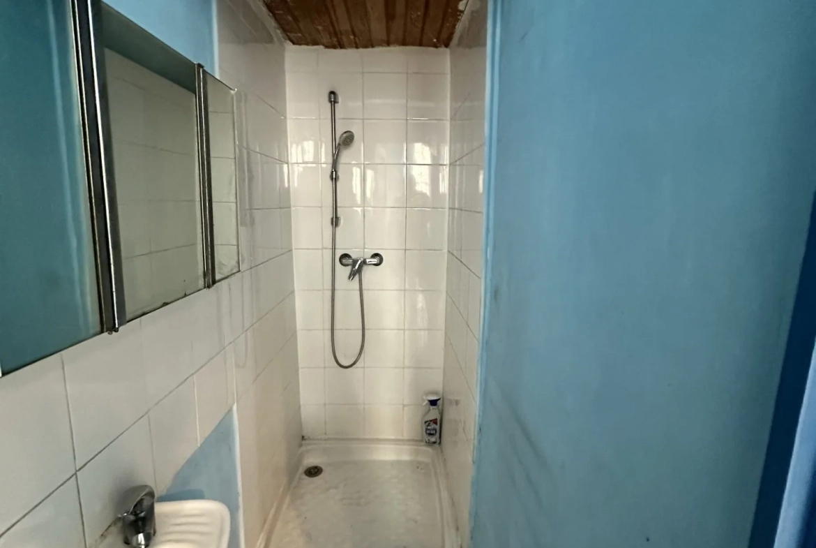 Salle d'eau  Appartement T1 à rénover de 28 m² à Marseille – Opportunité à saisir 