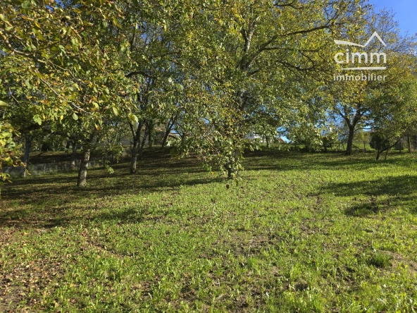 Terrain constructible à vendre à La Forteresse (38590) – Idéal pour votre projet