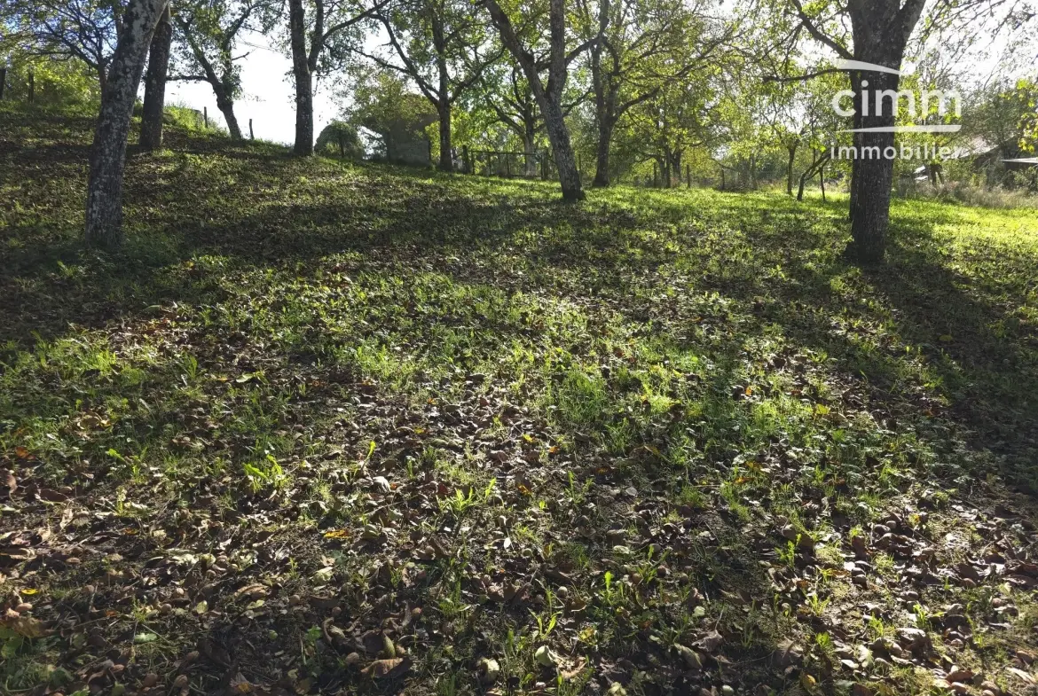 Terrain constructible à vendre à La Forteresse (38590) – Idéal pour votre projet 