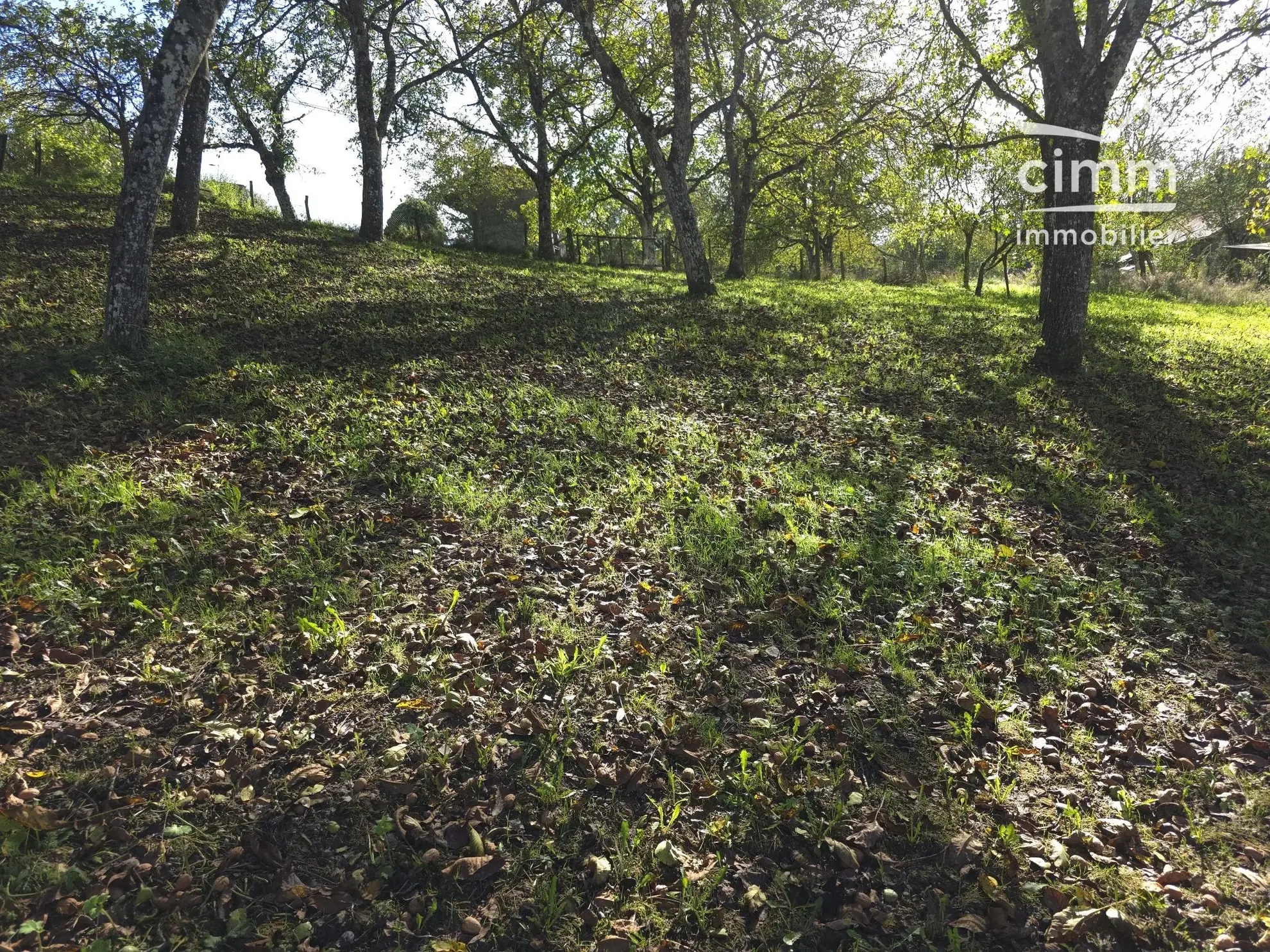 Terrain constructible à vendre à La Forteresse (38590) – Idéal pour votre projet 