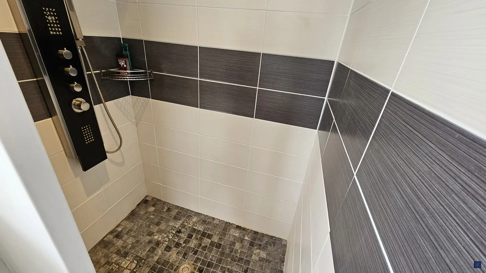 Appartement T2 rénové à vendre à Saint-Georges-de-Didonne - 50 m² avec parking privé 