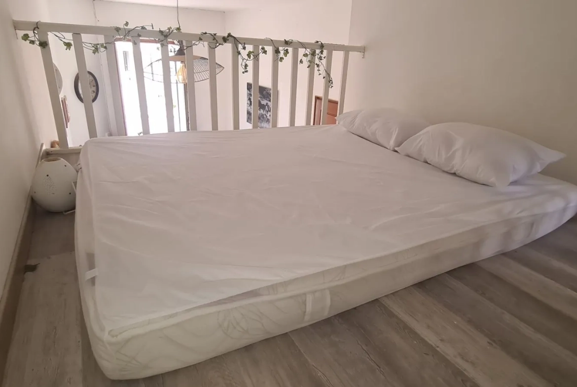 Charmant studio meublé de 30 m² en plein cœur d'Avignon 