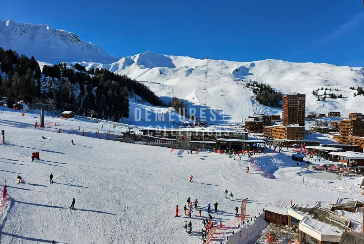 Studio 22 m² rénové avec vue sur pistes à La Plagne Centre 