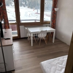 Studio 22 m² rénové avec vue sur pistes à La Plagne Centre