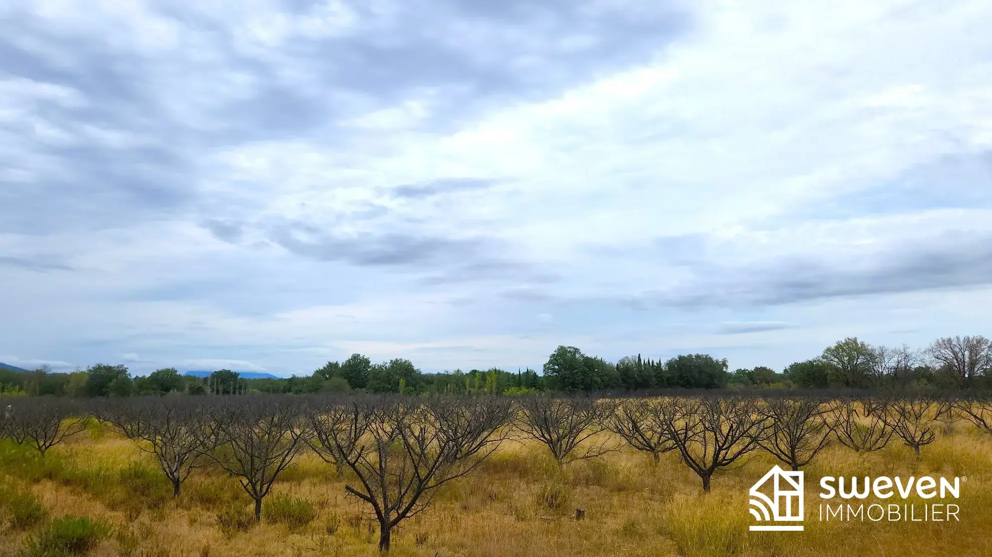 Terrain agricole de 5 hectares à Llupia avec eau et électricité 