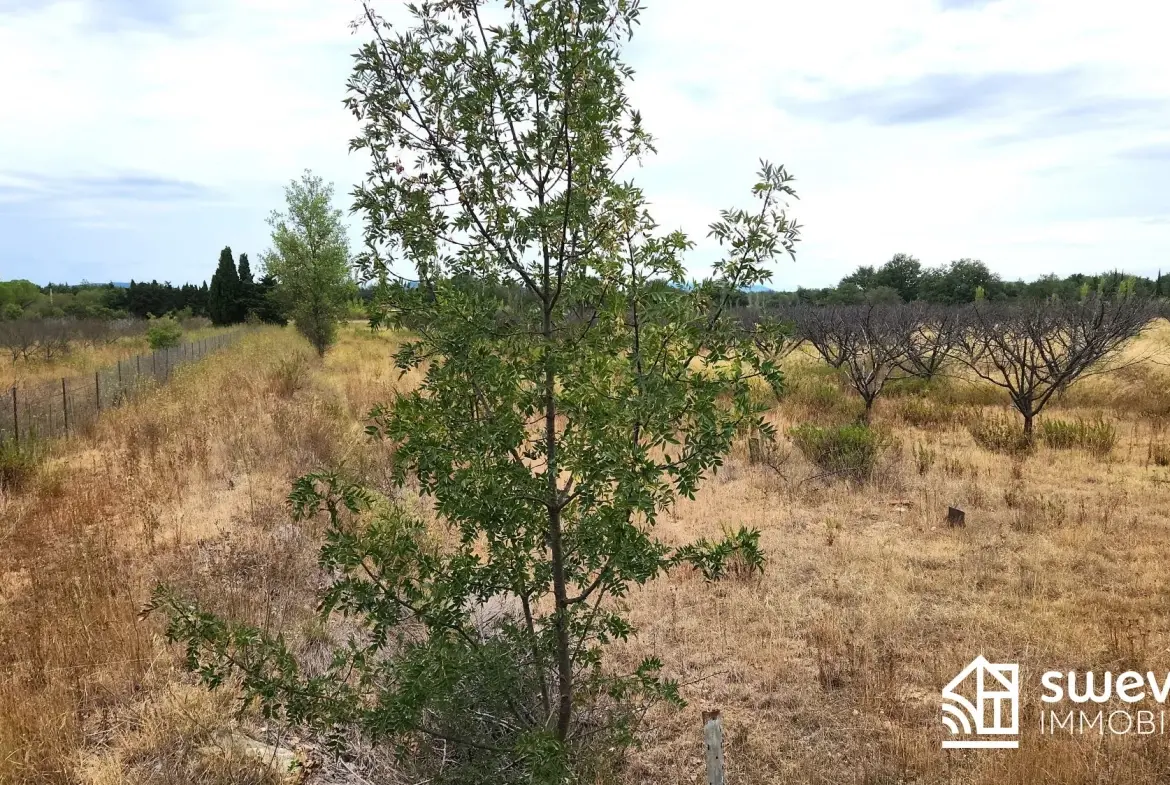 Terrain agricole de 5 hectares à Llupia avec eau et électricité 