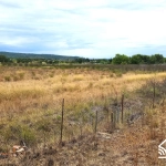 Terrain agricole de 5 hectares à Llupia avec eau et électricité