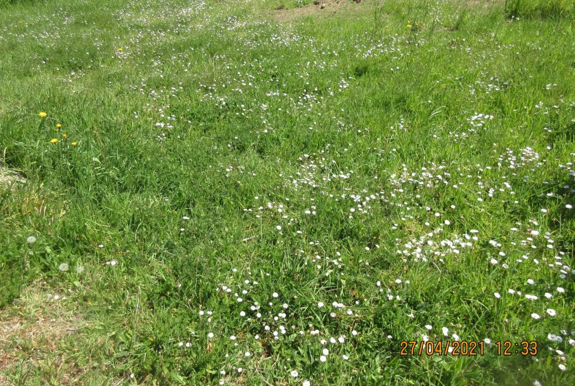 Terrain constructible à vendre à Bouvron - Opportunité rare de 831 m² 