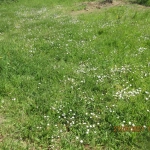 Terrain constructible à vendre à Bouvron - Opportunité rare de 831 m²