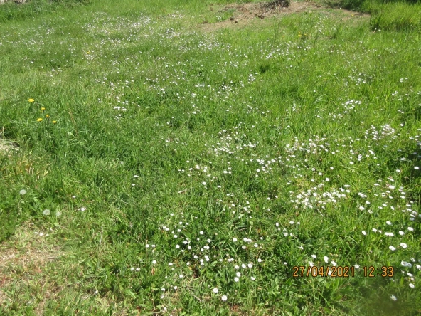 Terrain constructible à vendre à Bouvron - Opportunité rare de 831 m²