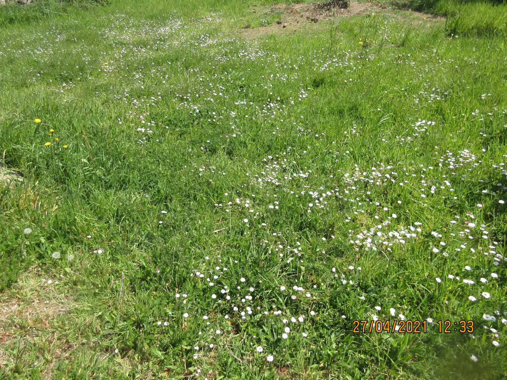 Terrain constructible à vendre à Bouvron - Opportunité rare de 831 m² 