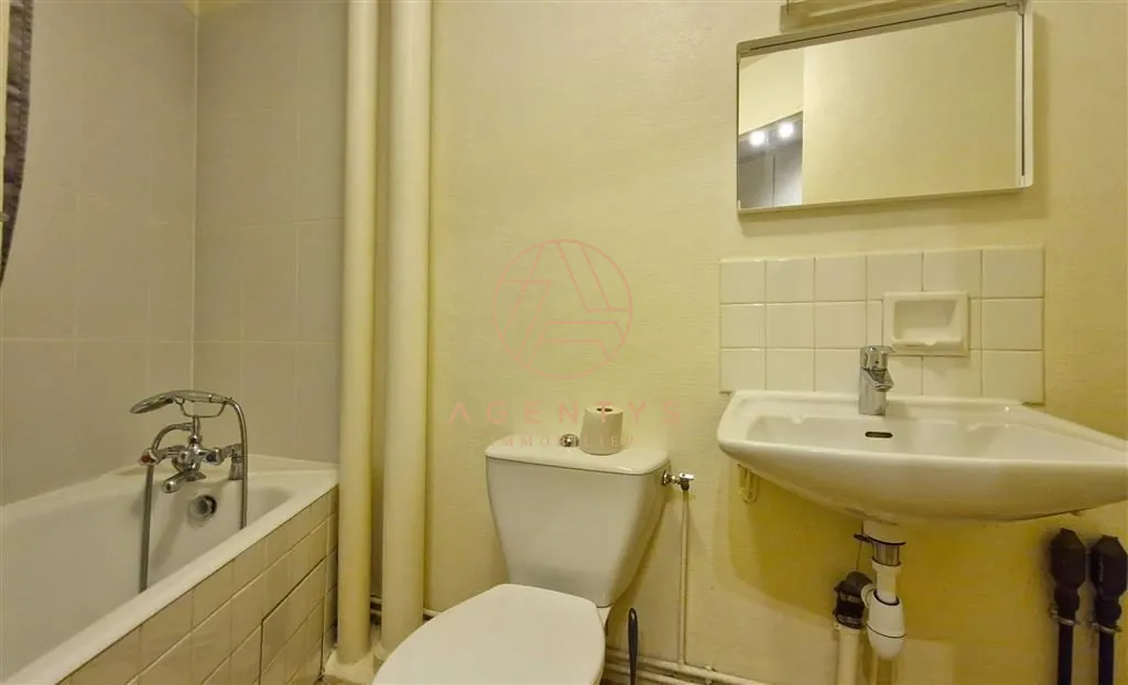Grand studio lumineux avec balcon et parking à Le Perreux-sur-Marne 