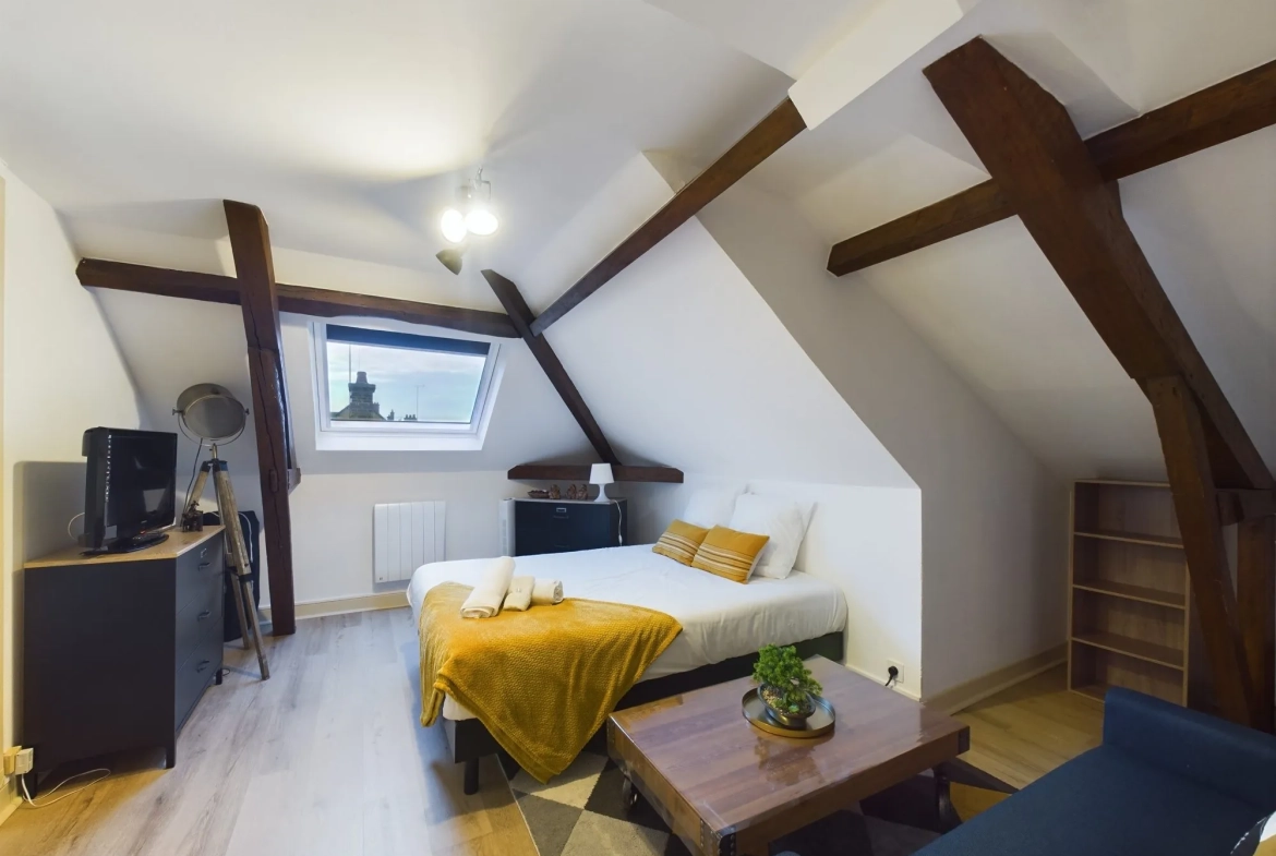 Studio meublé à vendre en plein centre de Troyes - 16 m² 