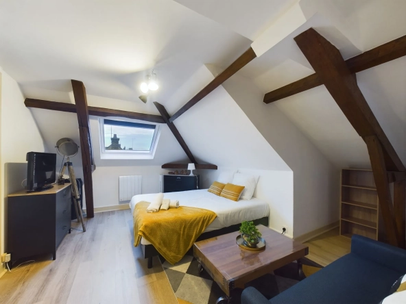 Studio meublé à vendre en plein centre de Troyes - 16 m²