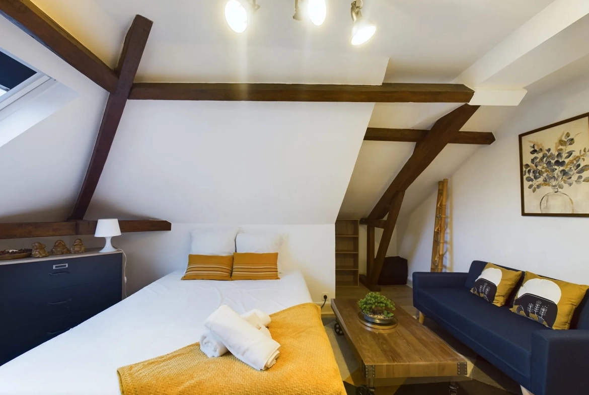 Studio meublé à vendre en plein centre de Troyes - 16 m² 
