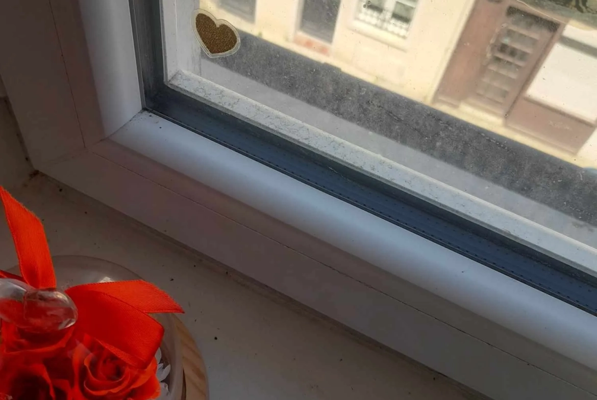 A vendre appartement duplex lumineux à Dieppe, 44 m², idéalement situé 