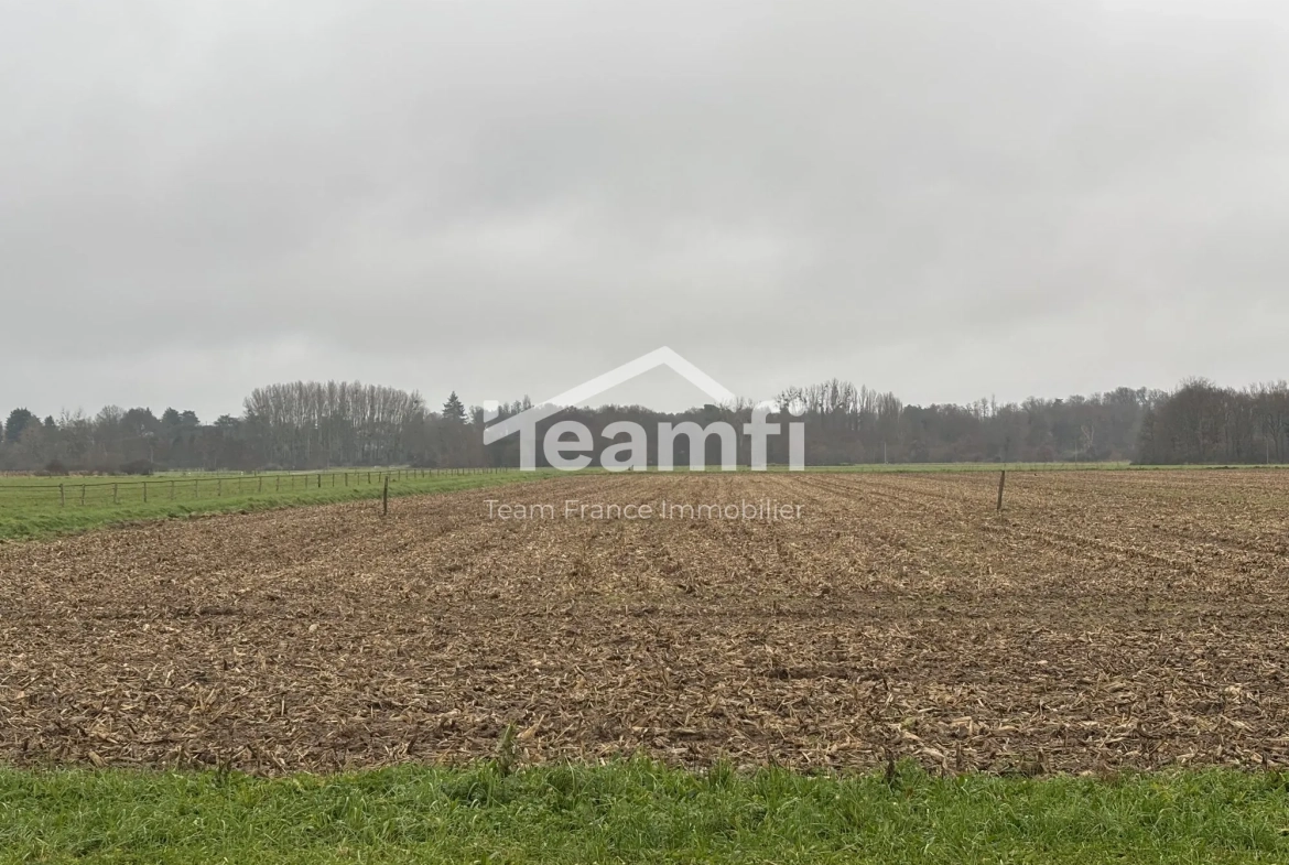 Terrain constructible de 1056 m² à Germigny-des-Prés, idéal pour bâtir votre maison de rêve 
