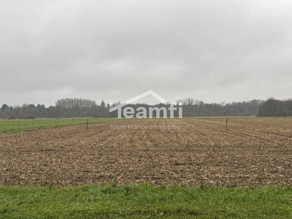 Terrain constructible de 1056 m² à Germigny-des-Prés, idéal pour bâtir votre maison de rêve