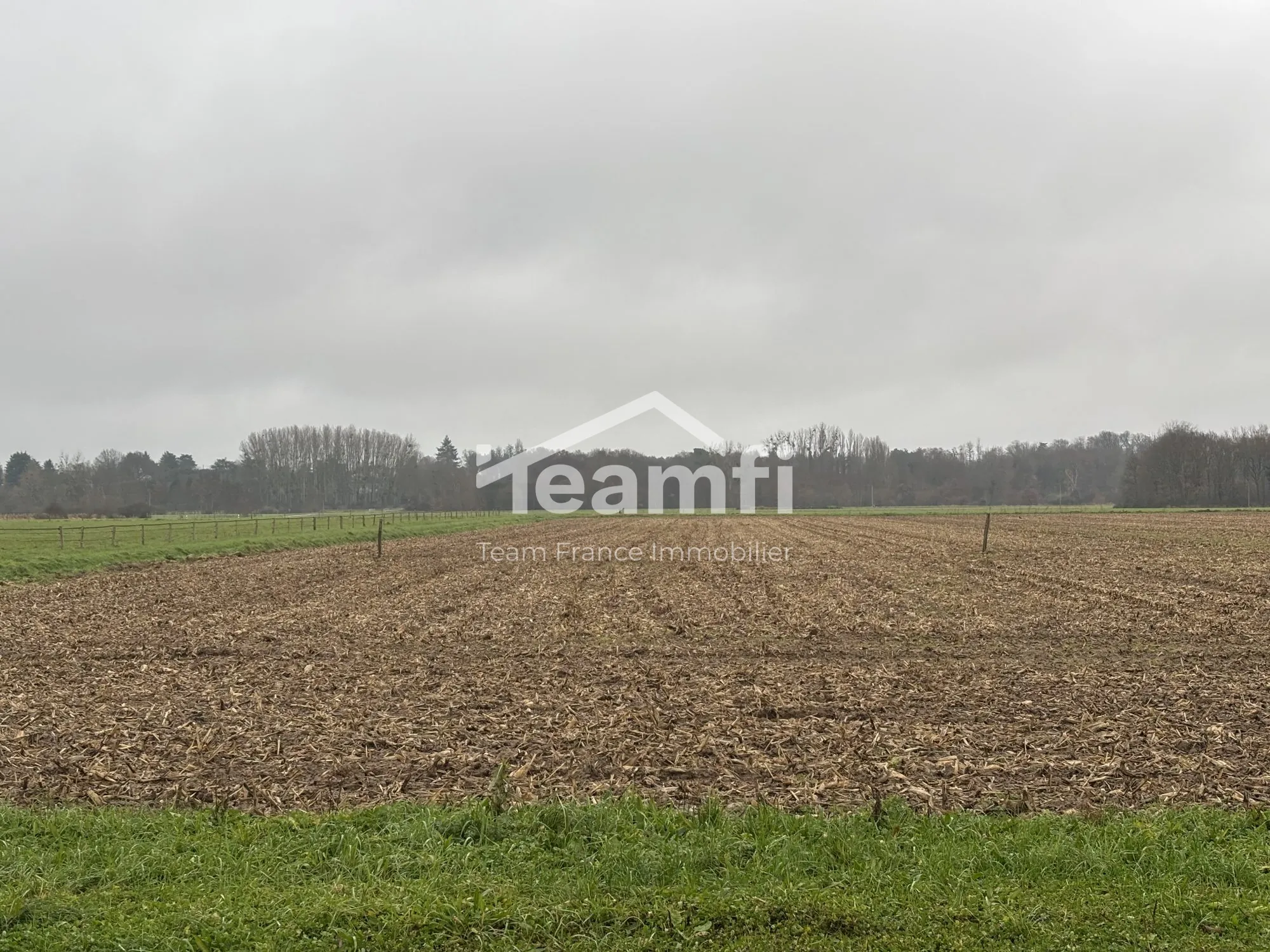 Terrain constructible de 1056 m² à Germigny-des-Prés, idéal pour bâtir votre maison de rêve 