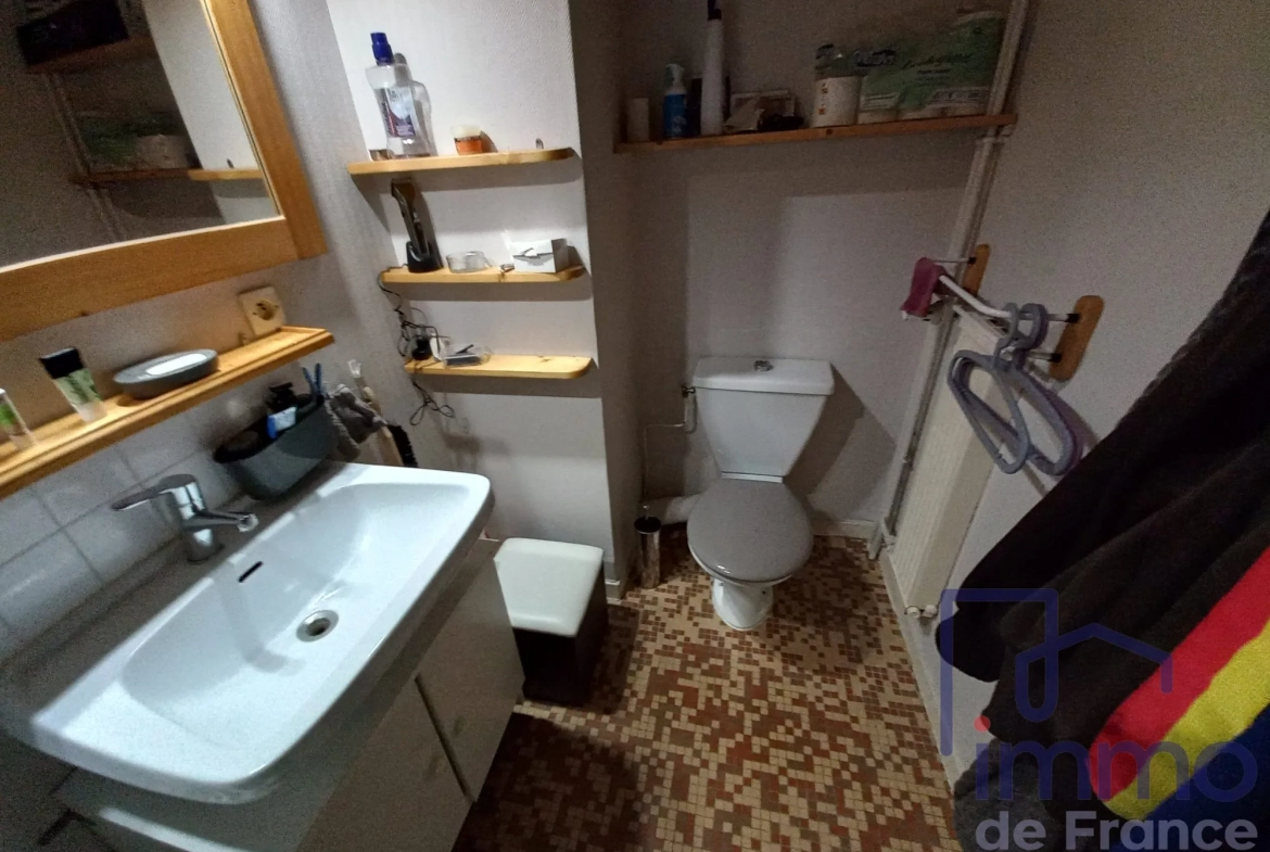 Appartements à vendre à Saint-Étienne, secteur Musée de la Mine - Investissement locatif 