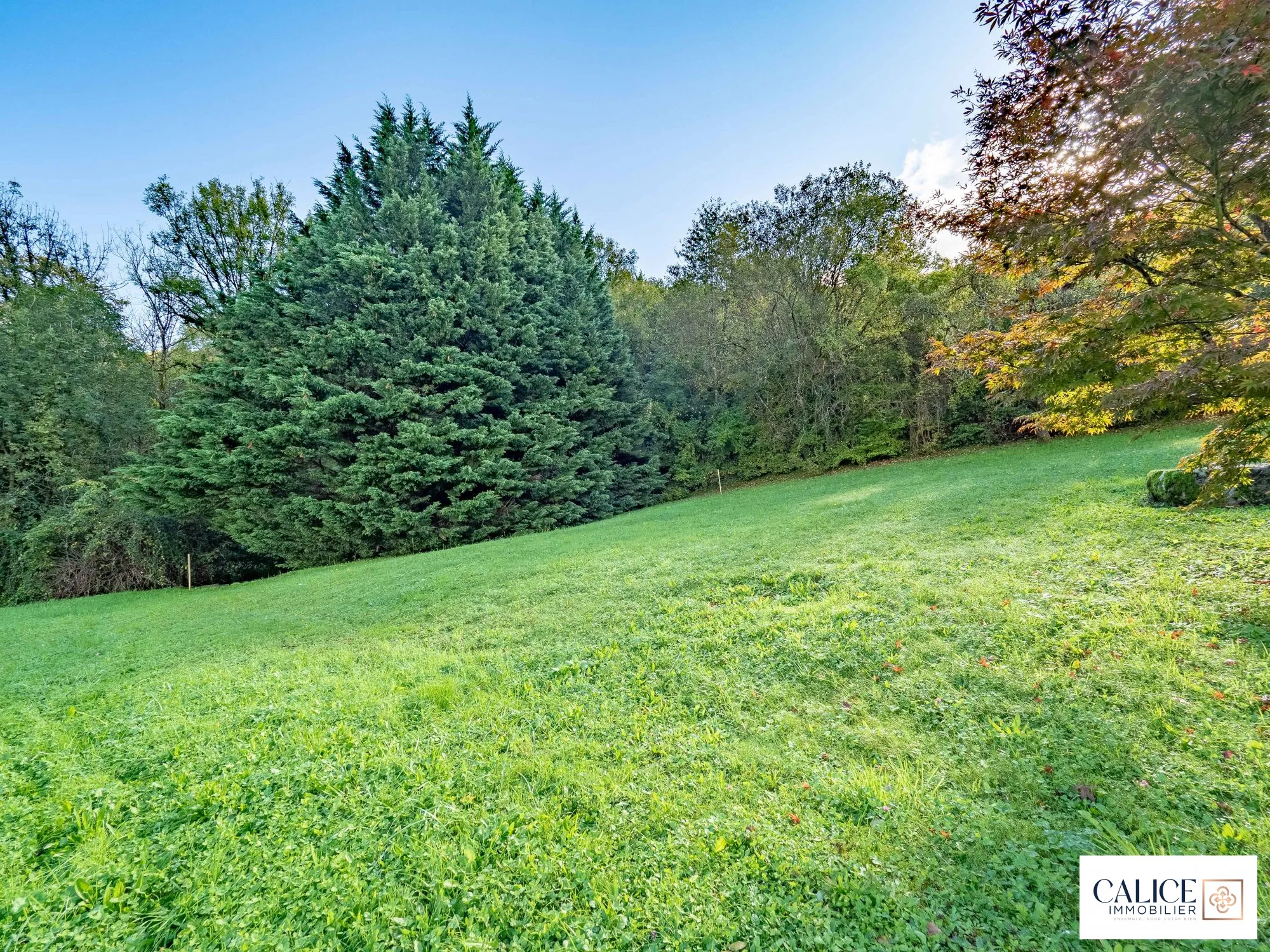 Terrain à vendre à Le Champ-près-Froges - Opportunité rare pour construire votre maison 