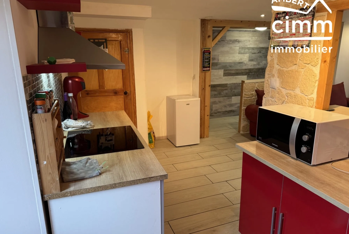 Achat ensemble de deux maisons mitoyennes à Ambert avec garages et jardin, idéal investisseur 