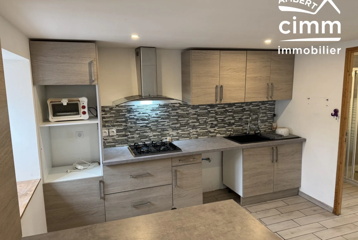 Achat ensemble de deux maisons mitoyennes à Ambert avec garages et jardin, idéal investisseur 